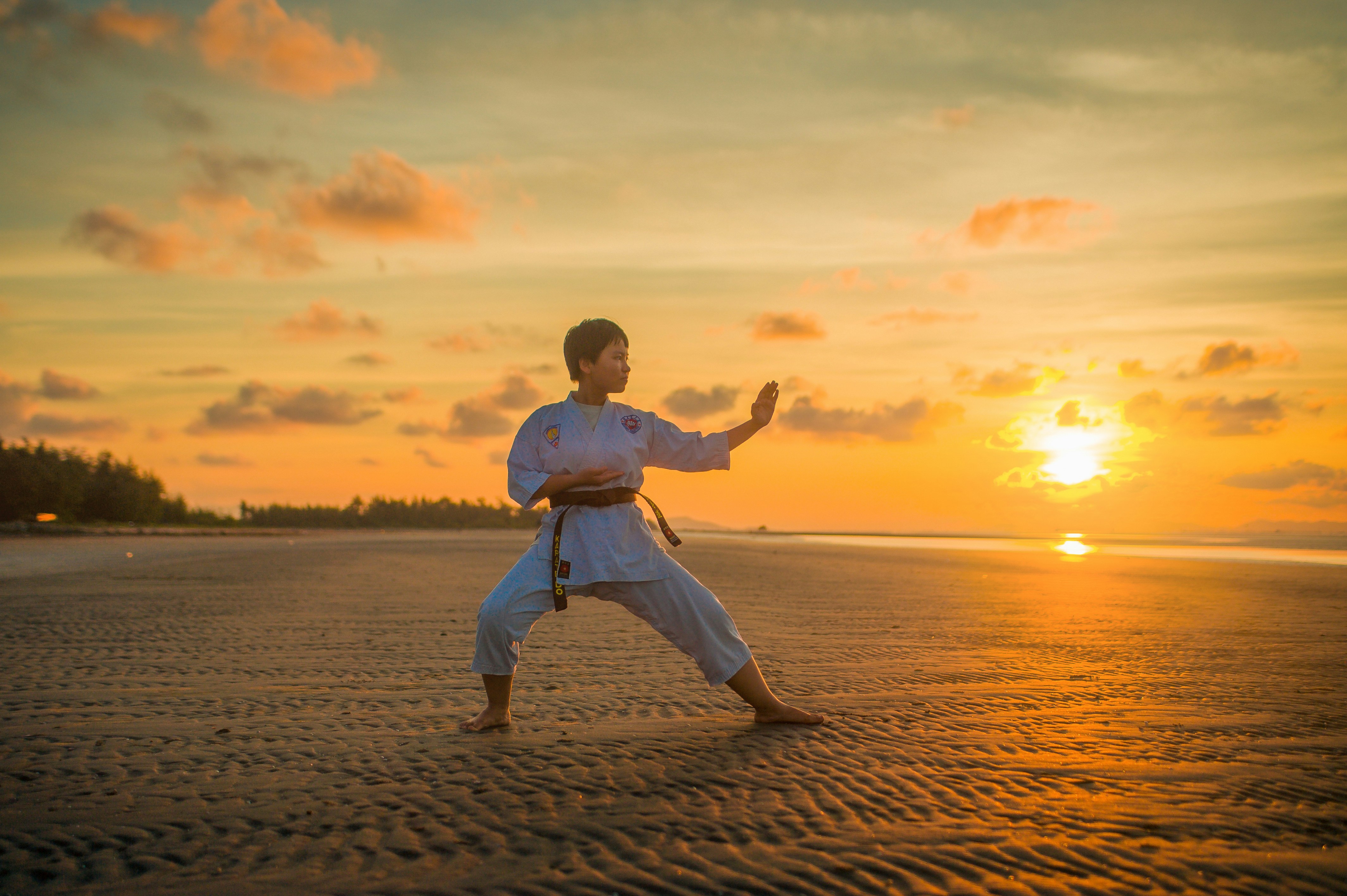 Martial Arts Dojo